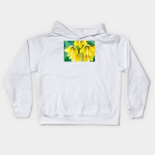 Fritillaria imperialis  &#39;Maxima Lutea&#39;  AGM  Crown imperia Kids Hoodie